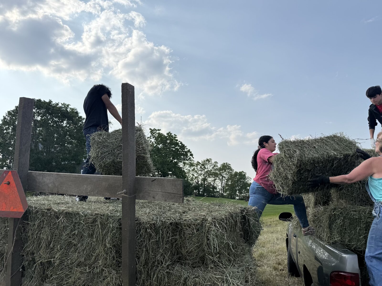 Participants complete farm work at On-The-Rise.