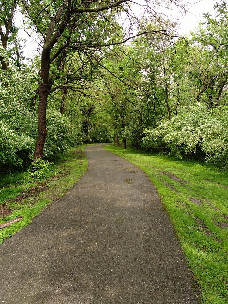 The Buck Creek trail